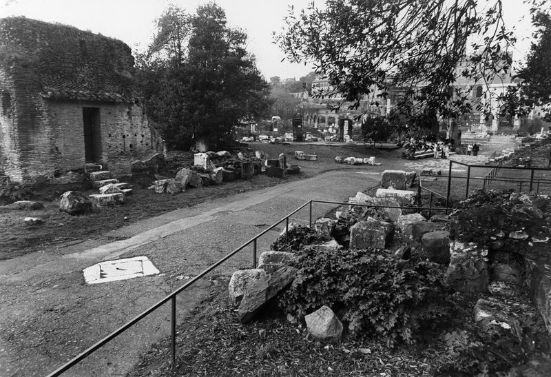 016177 - reperto - Ricognizione dei materiali archeologici nell'area (1991); Neg. Serie Film, Nr. 2542