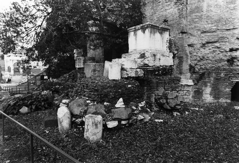 016178 - reperto - Ricognizione dei materiali archeologici nell'area (1991); Neg. Serie Film, Nr. 2542