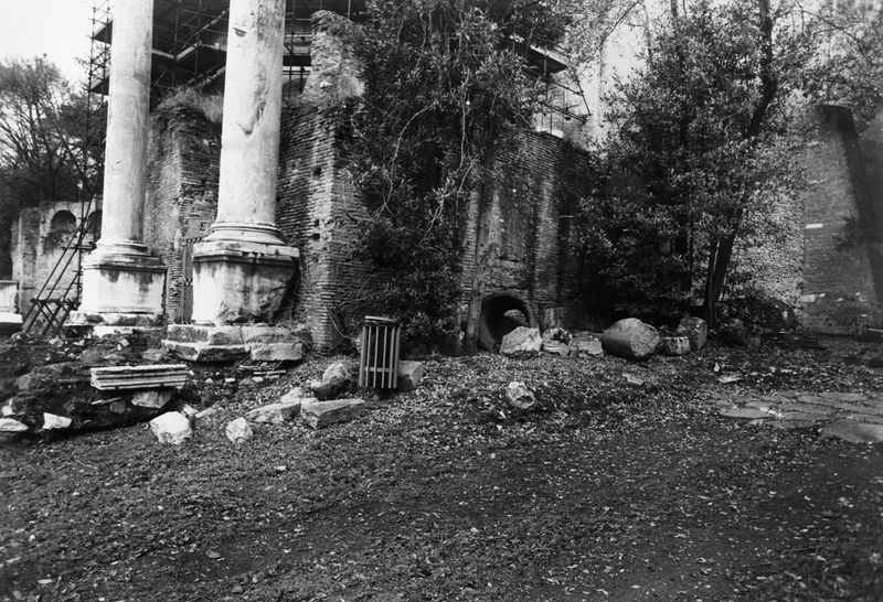 016179 - reperto - Ricognizione dei materiali archeologici nell'area (1991); Neg. Serie Film, Nr. 2542