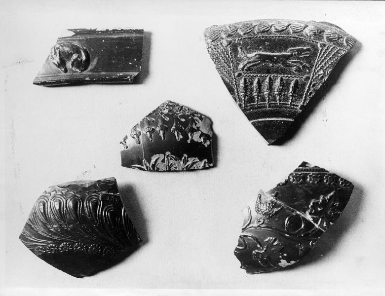 016987 - reperto - Frammenti di vasi aretini dallo scavo Boni a ovest dell'Arco di Tito; neg. serie E, n. 431