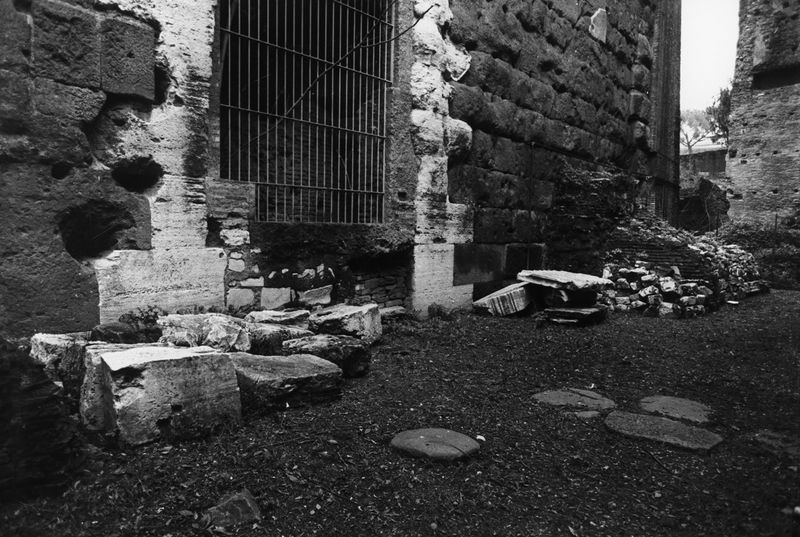 016182 - reperto - Ricognizione dei materiali archeologici nell'area (1991); Neg. Serie Film, Nr. 2542