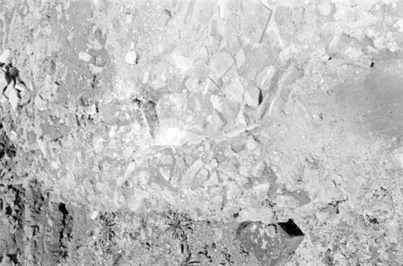 1-00007/ 07549/ 16777 - Roma - Foro Romano - Aula Regia