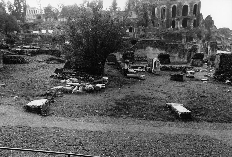 016184 - reperto - Ricognizione dei materiali archeologici nell'area (1991); Neg. Serie Film, Nr. 2542