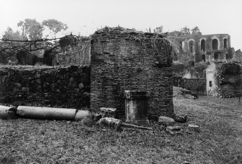 016186 - reperto - Ricognizione dei materiali archeologici nell'area (1991); Neg. Serie Film, Nr. 2542
