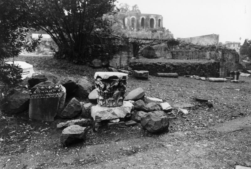 016187 - reperto - Ricognizione dei materiali archeologici nell'area (1991); Neg. Serie Film, Nr. 2542