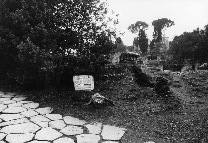 016188 - reperto - Ricognizione dei materiali archeologici nell'area (1991); Neg. Serie Film, Nr. 2542
