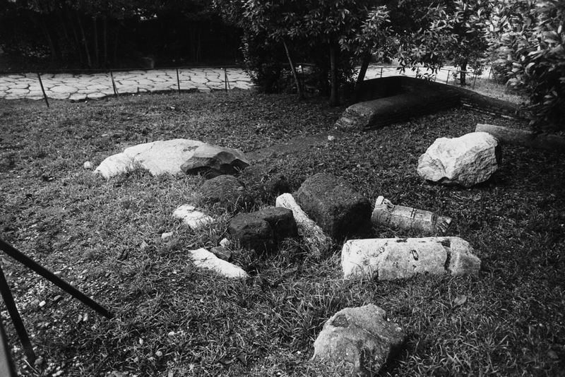 016190 - reperto - Ricognizione dei materiali archeologici nell'area (1991); Neg. Serie Film, Nr. 2542