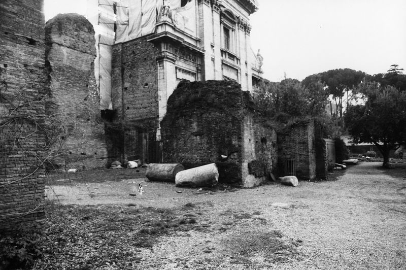 016193 - reperto - Ricognizione dei materiali archeologici nell'area (1991); Neg. Serie Film, Nr. 2542