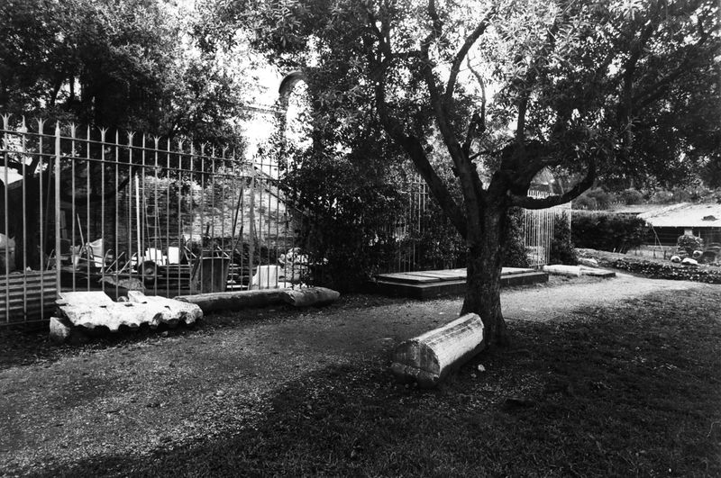 016194 - reperto - Ricognizione dei materiali archeologici nell'area (1991); Neg. Serie Film, Nr. 2542