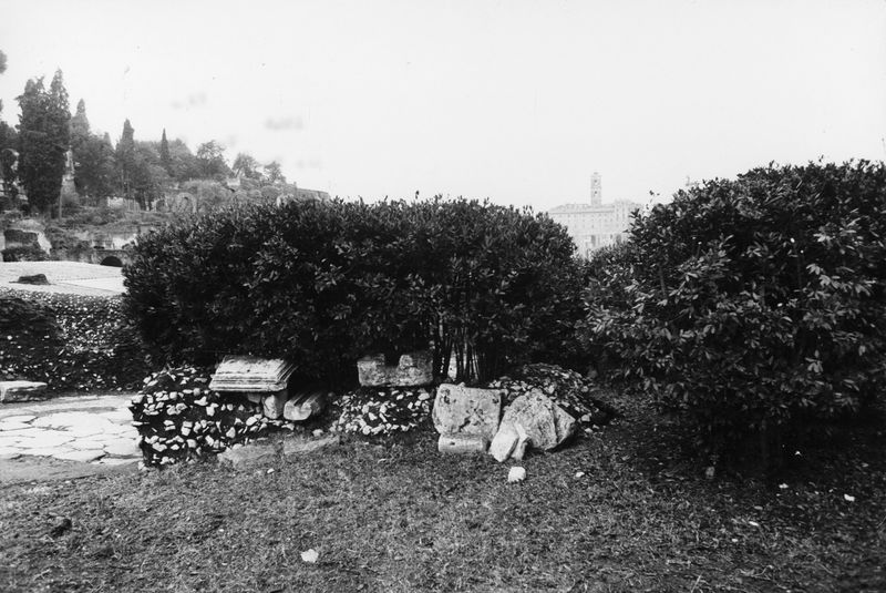 016196 - reperto - Ricognizione dei materiali archeologici nell'area (1991); Neg. Serie Film, Nr. 2542