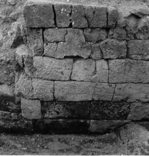  - Foro Romano. Area del Comizio e Lapis Niger