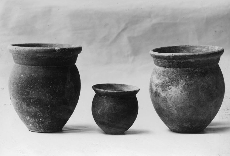 016966 - reperto - Vasetti grezzi dal Comizio; neg. serie F, n. 950