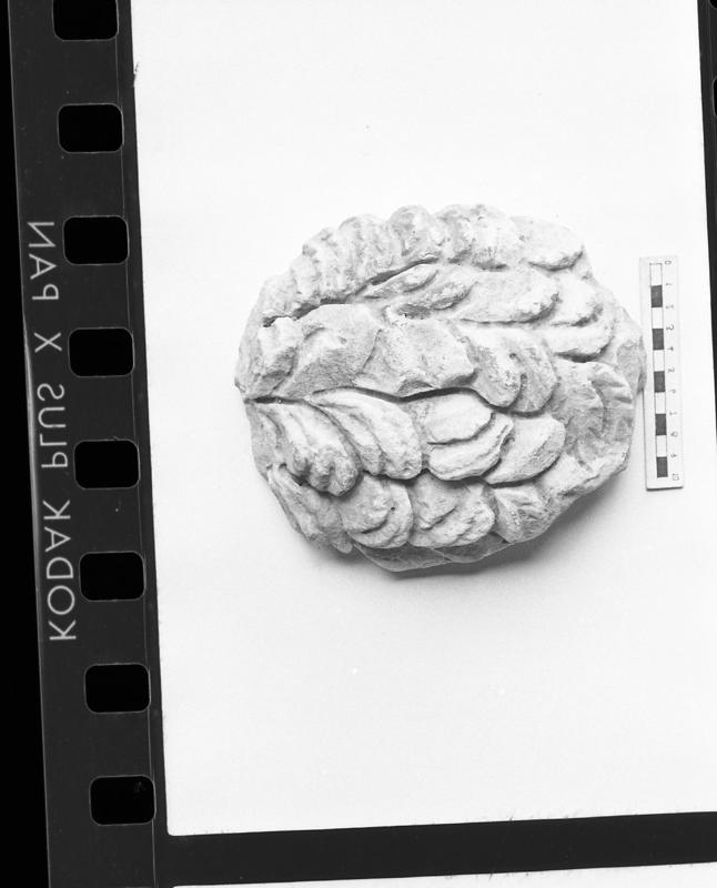 DT808.jpg