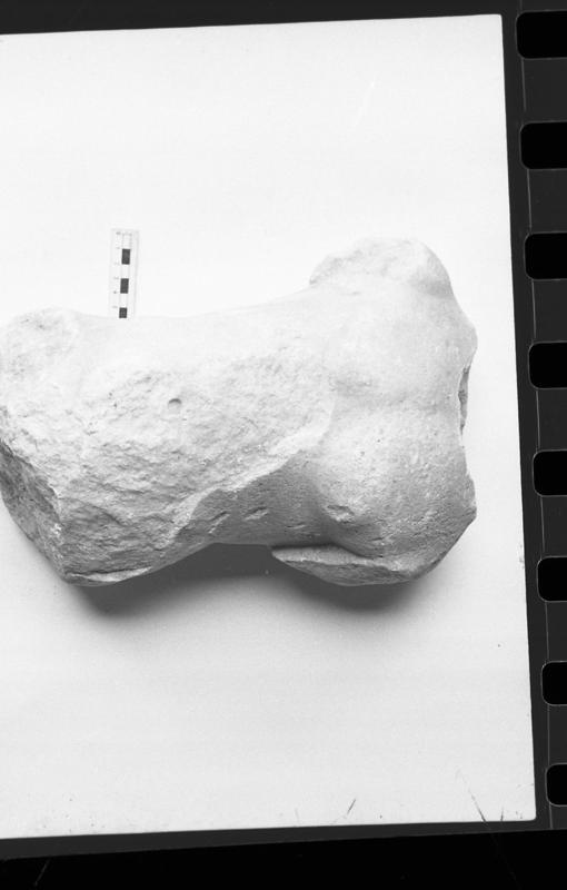DT819.jpg