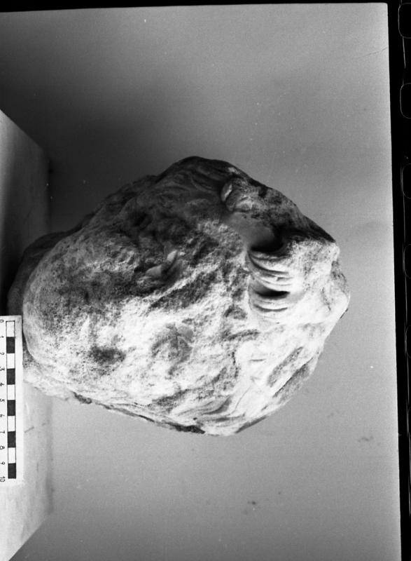 DT826.jpg