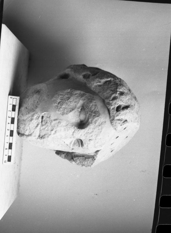 DT831.jpg