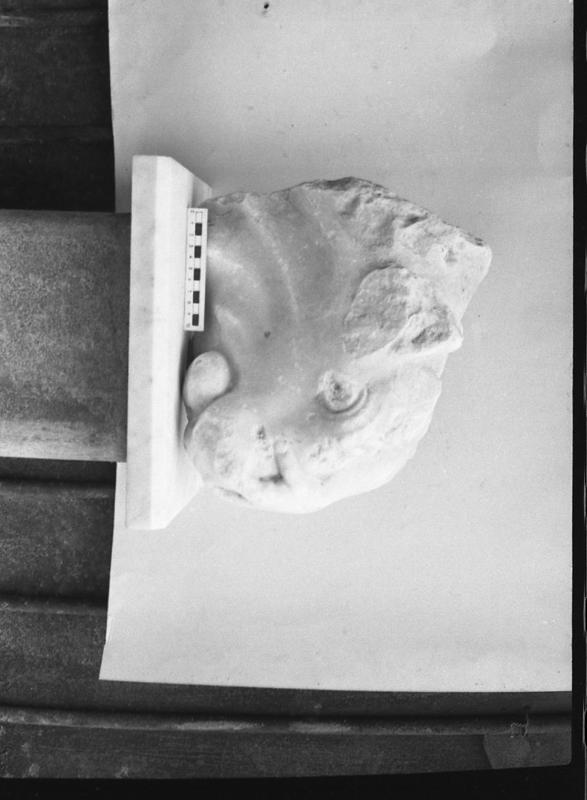 DT838.jpg