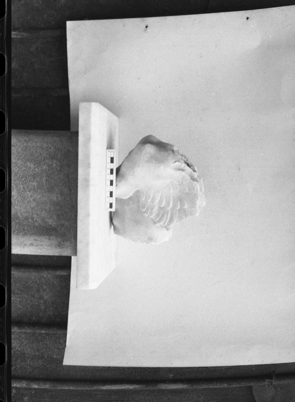 DT839.jpg