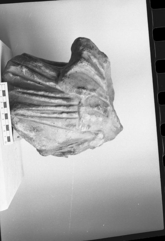 DT844.jpg