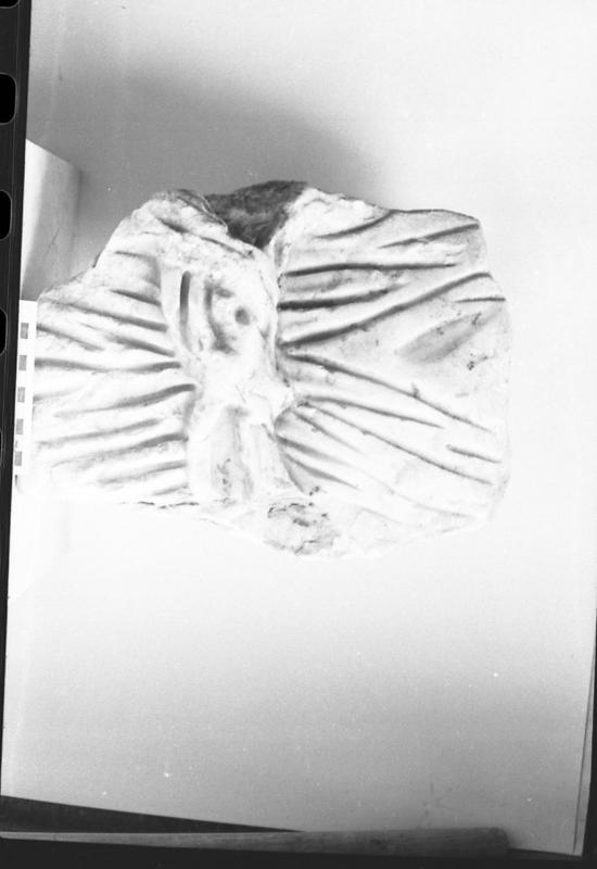 DT847.jpg