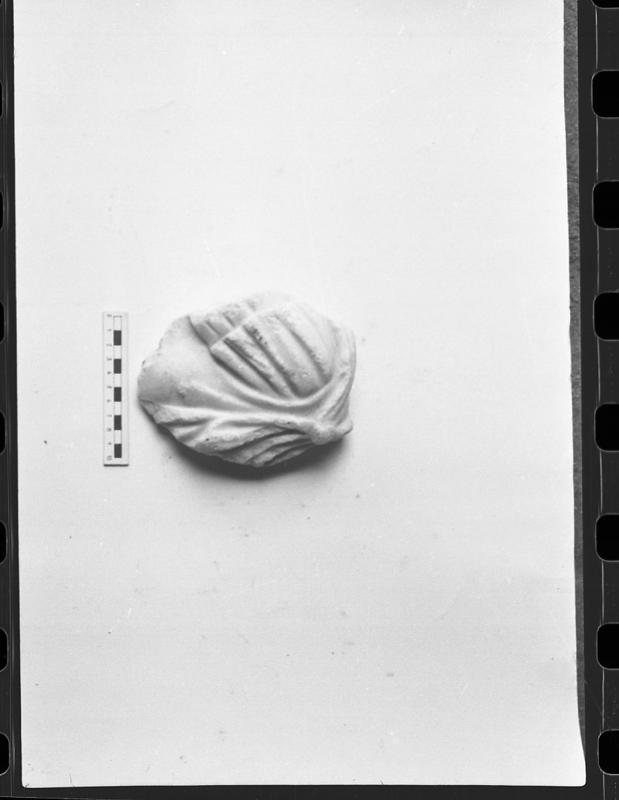 DT891.jpg