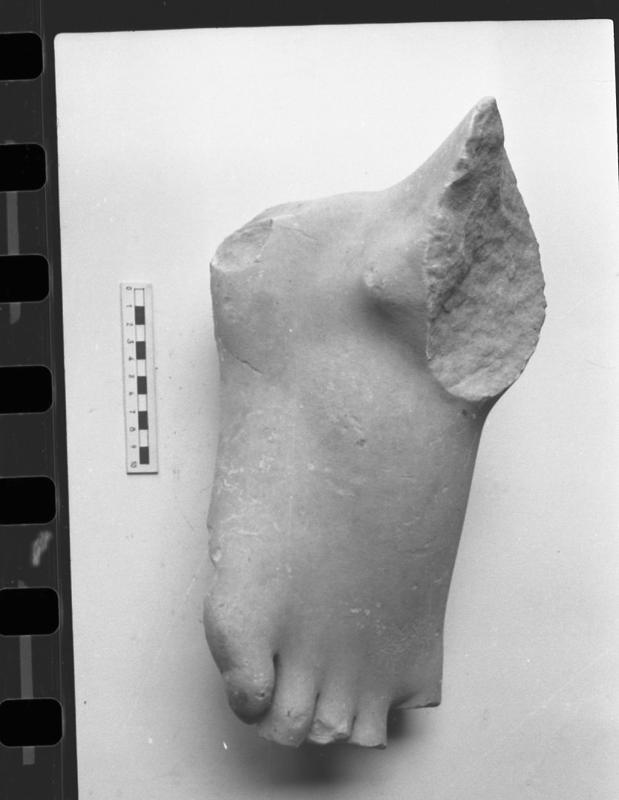 DT896.jpg