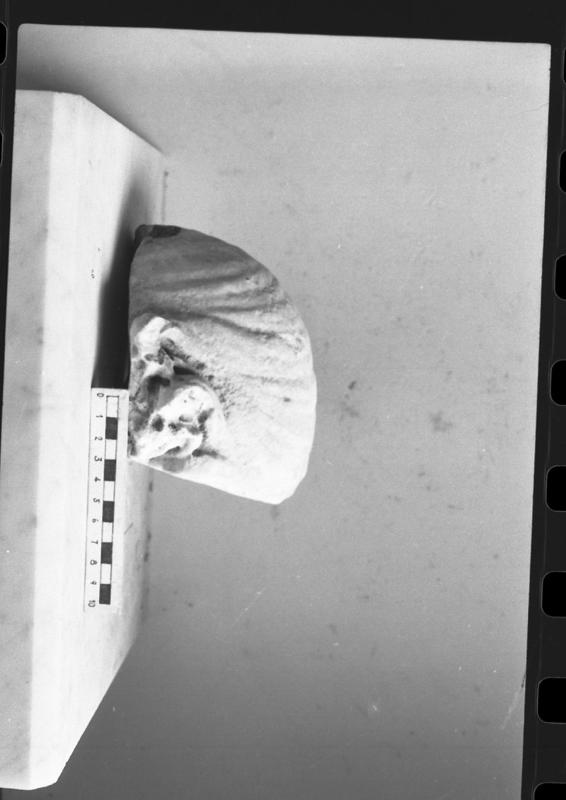 DT929.jpg