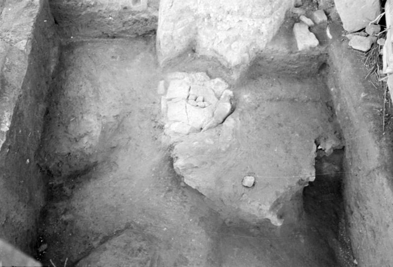 1-00008/ 07550/ 16778 - Roma - Foro Romano - Aula Regia