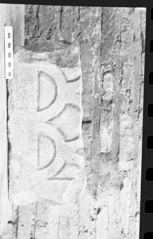 DT001.jpg