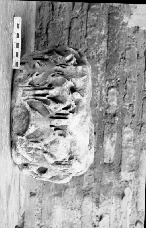 DT002.jpg