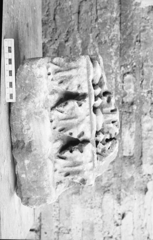 DT003.jpg