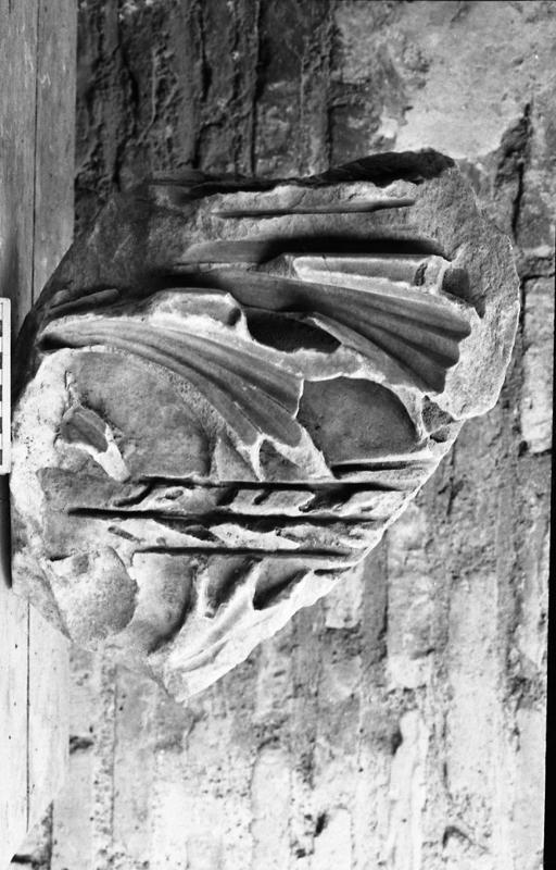 DT008.jpg