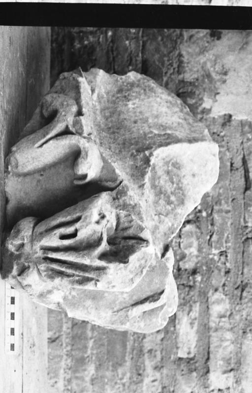 DT007.jpg