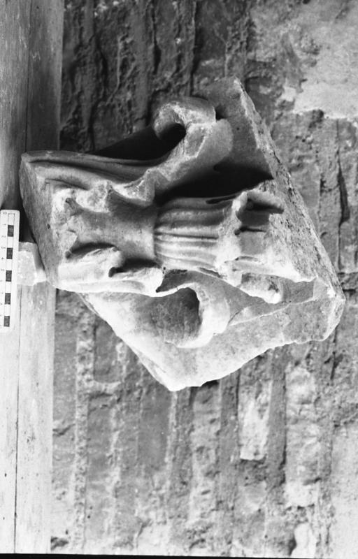 DT006.jpg