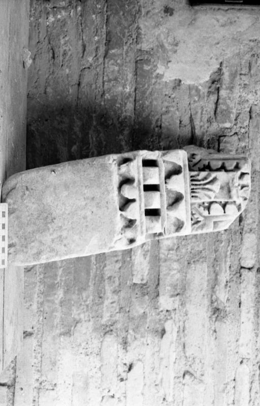 DT005.jpg