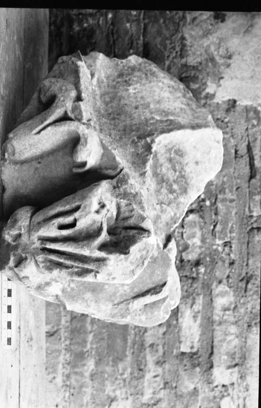 DT009.jpg