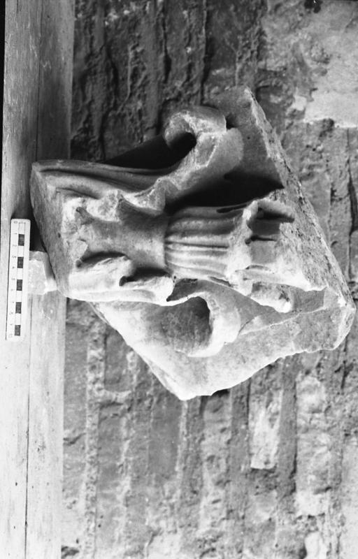 DT010.jpg