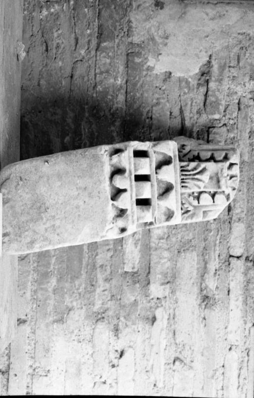 DT011.jpg