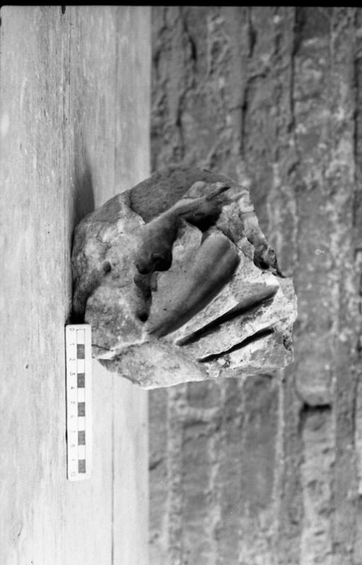 DT013.jpg
