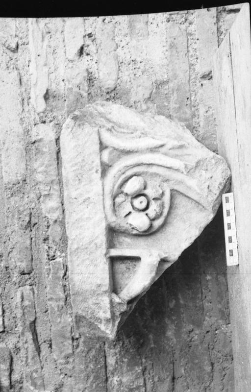 DT018.jpg