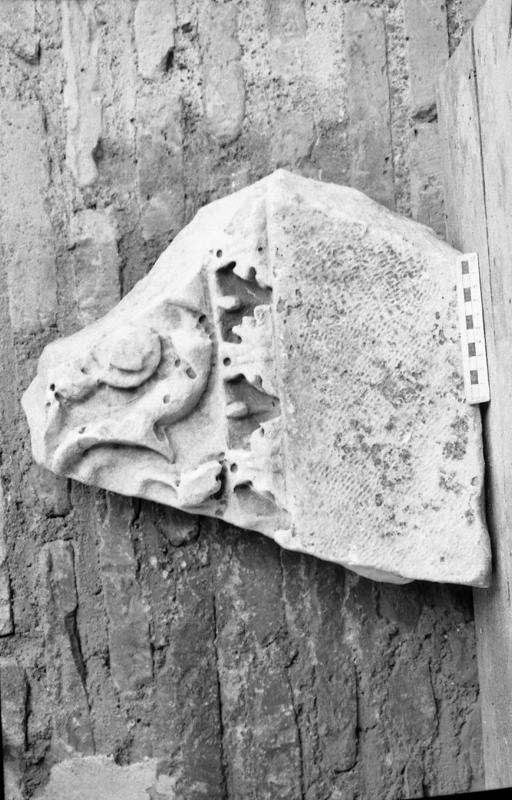 DT019.jpg