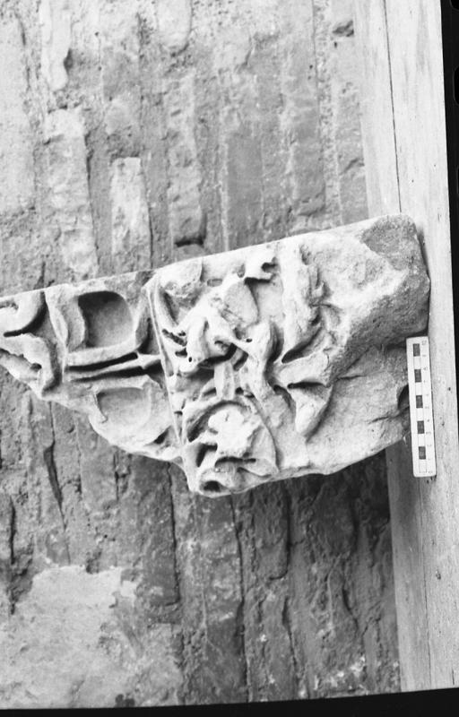 DT020.jpg