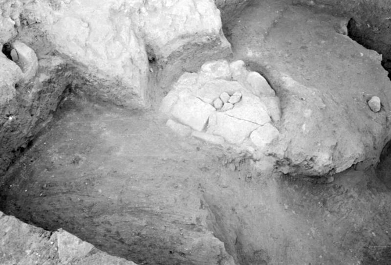 1-00008/ 07550/ 16778 - Roma - Foro Romano - Aula Regia
