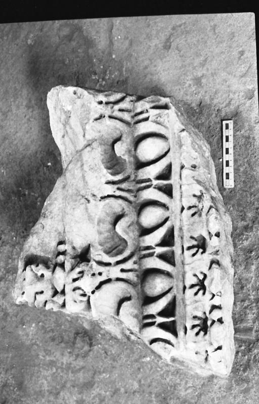 DT022.jpg