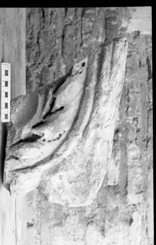 DT025.jpg