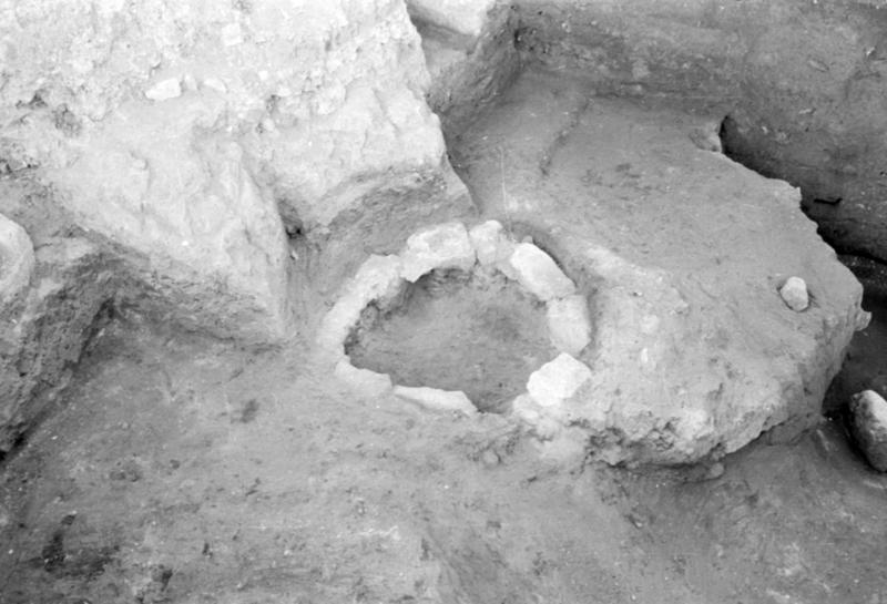 1-00008/ 07550/ 16778 - Roma - Foro Romano - Aula Regia