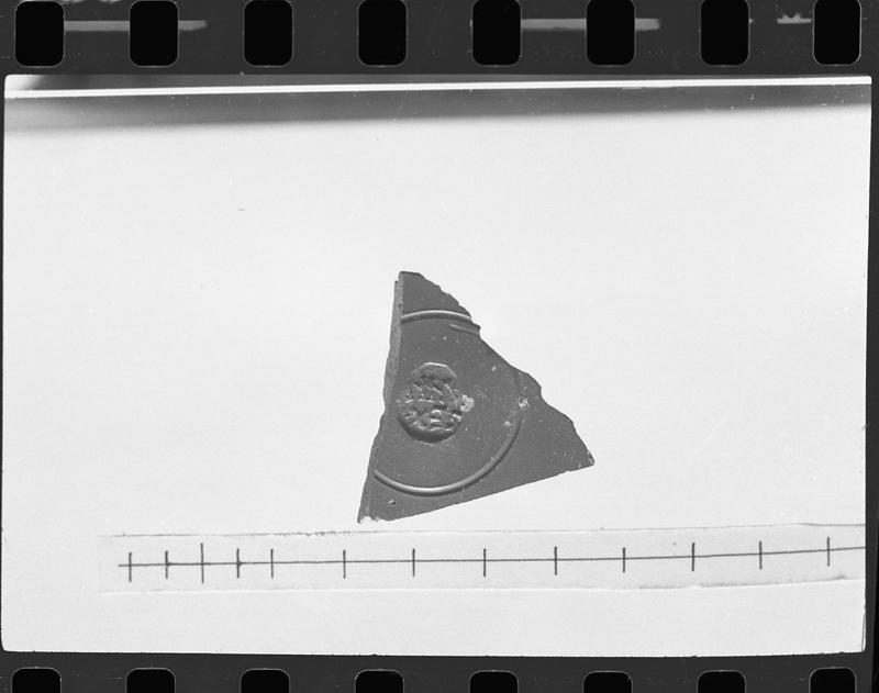 DT313.jpg