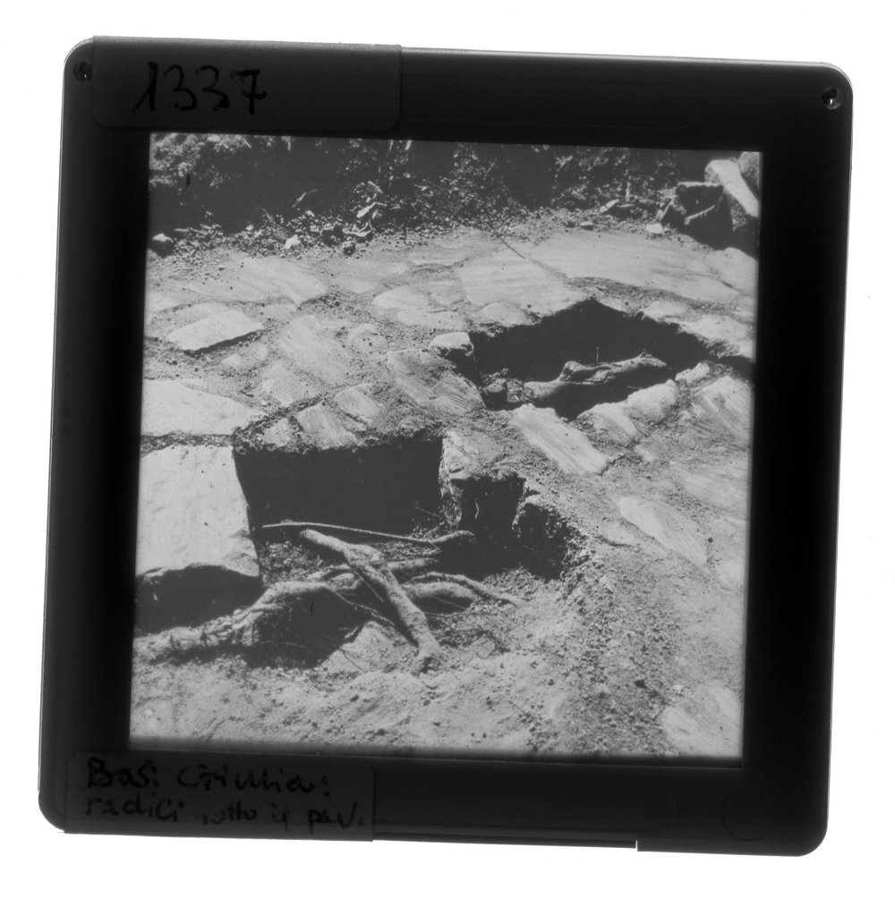Diapositiva 6X6  1337 Basilica Giulia- lato sud-ovest ; radici sotto il pavimento di marmo.JPG