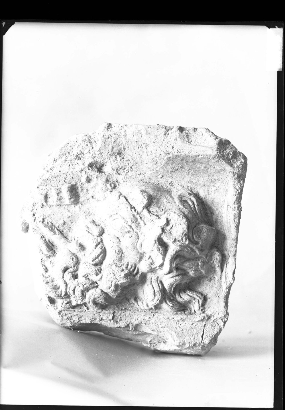 AP1498-asf011593.jpg