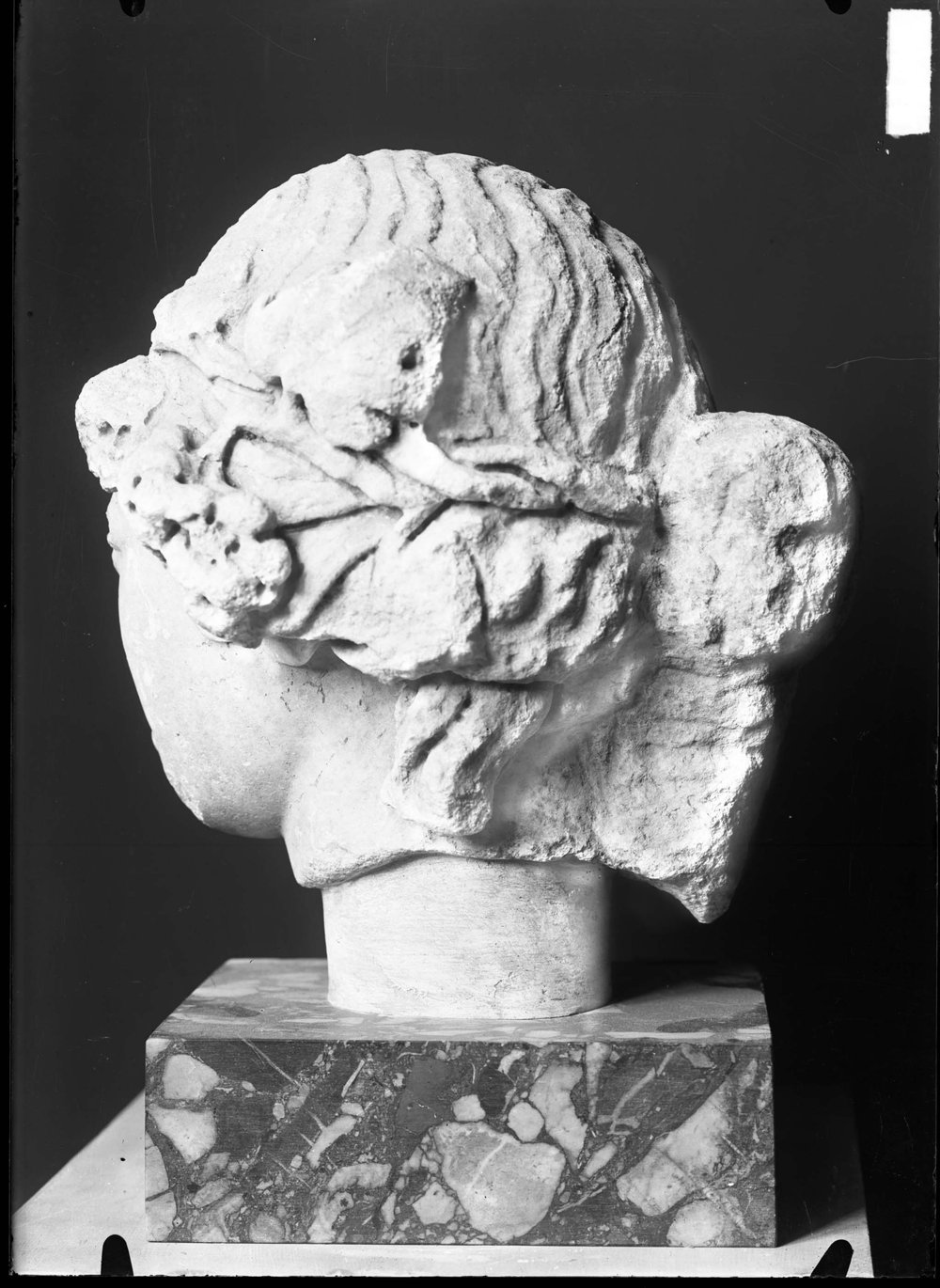 AP1442-asf011538.jpg